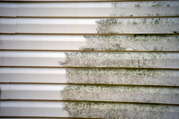 Best James Hardie Siding  in Wendell, NC
