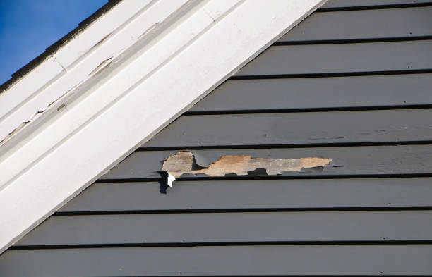 Affordable siding repair and maintenance services in Wendell, NC
