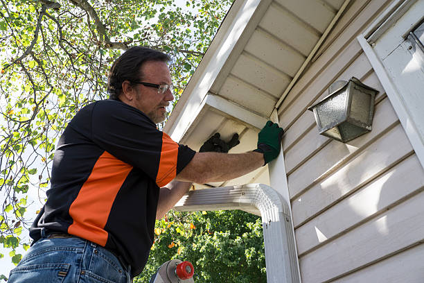 Trusted Wendell, NC Siding Installation & Repair Experts